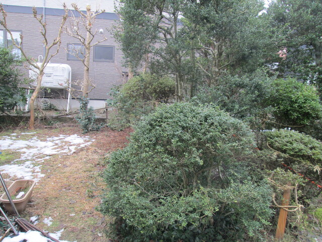 IMG_2891.JPG